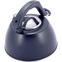Чайник Kamille Whistling Kettle Thermo 3л з нержавіючої сталі зі свистком і термометром, чорний